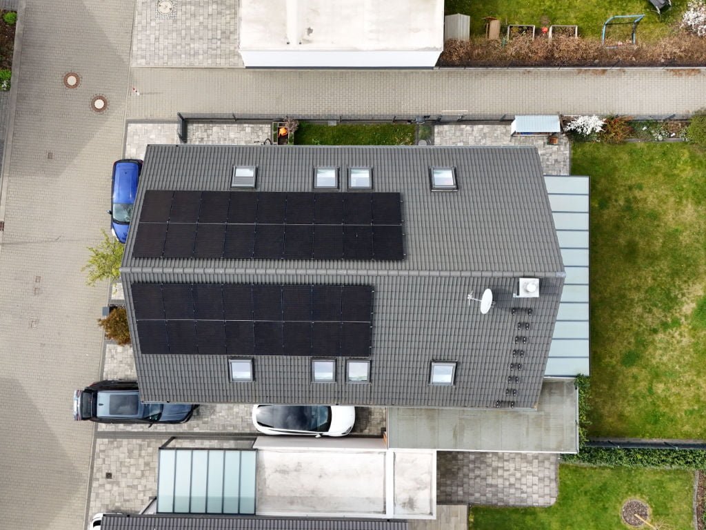 Wolf_Mainhausen